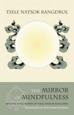 Mirror of Mindfulness