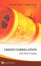 Credit Correlation: Life After Copulas