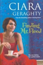 Finding Mr. Flood