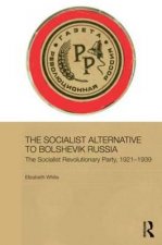 Socialist Alternative to Bolshevik Russia