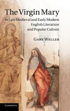 Virgin Mary in Late Medieval and Early Modern English Literature and Popular Culture
