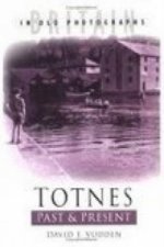 Totnes Past and Present