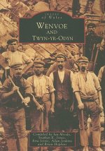 Wenvoe and Twyn-yr-Odyn