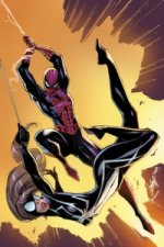 Spider-man: Big Time