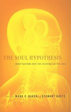 Soul Hypothesis