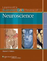 Lippincott's Illustrated Q&A Review of Neuroscience