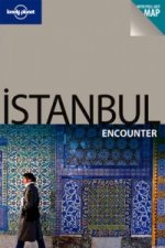 Istanbul Encounter