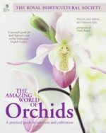 Amazing World of Orchids