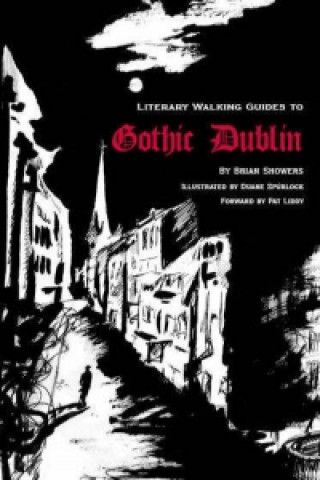 Literary History of Gothic Dublin