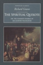 Spiritual Quixote