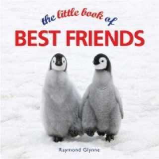 Little Book of Best Friends