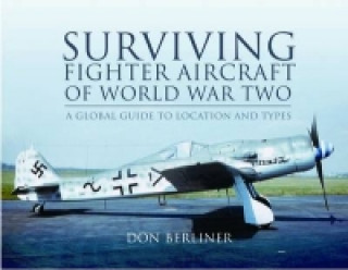 Surviving Fighter Aircraft of World War Two