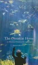 Ocean at Home