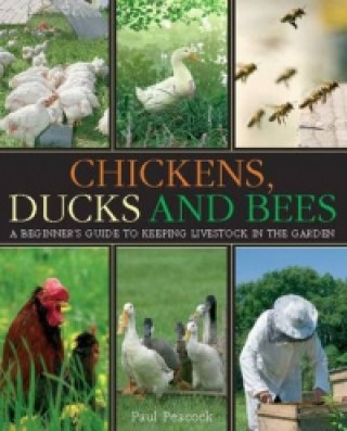 Chickens, Ducks and Bees