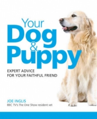 Greatest Guide to Dogs