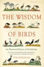 Wisdom of Birds