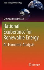 Rational Exuberance for Renewable Energy