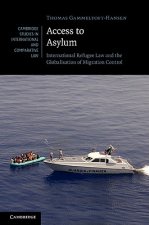 Access to Asylum