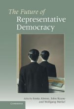 Future of Representative Democracy