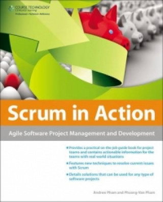 Scrum in Action