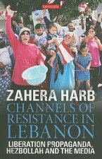 Channels of Resistance in Lebanon