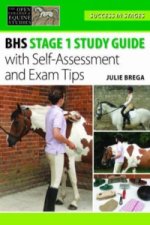 Essential Study Guide to BHS Stage 1