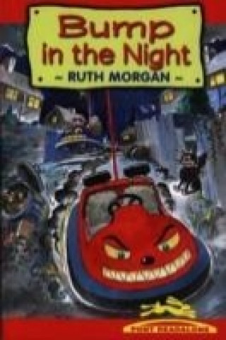 Pont Readalone: Bump in the Night (Ruth Morgan)(Brožovaná)