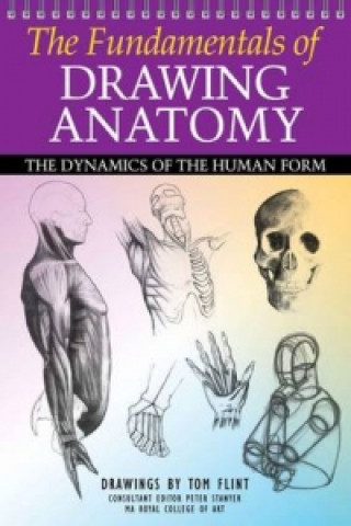 Fundamentals of Drawing Anatomy