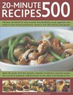 500 20-minute Recipes
