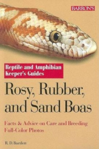 Rosy, Rubber and Sand Boas