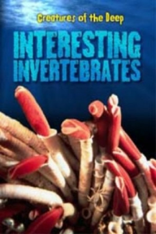 Interesting Invertebrates