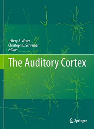Auditory Cortex