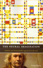Neural Imagination