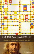 Neural Imagination