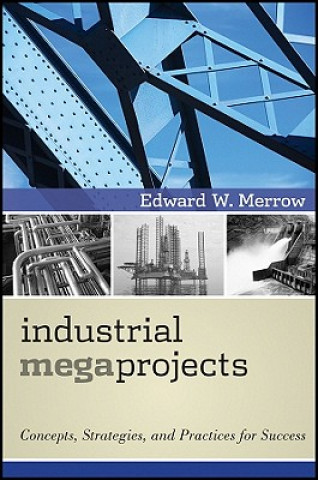 Industrial Megaprojects - Concepts, Strategies, and Practices for Success