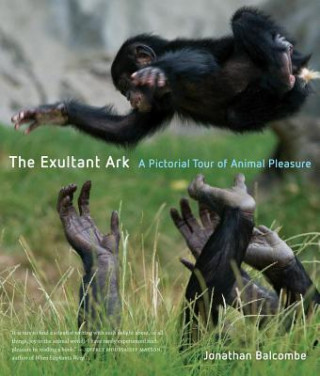 Exultant Ark