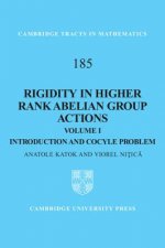 Rigidity in Higher Rank Abelian Group Actions: Volume 1, Introduction and Cocycle Problem