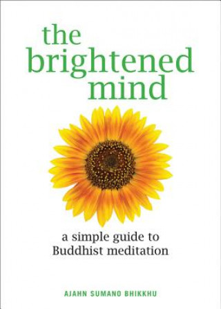 Brightened Mind