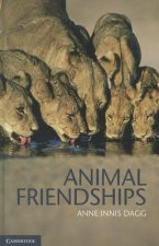 Animal Friendships