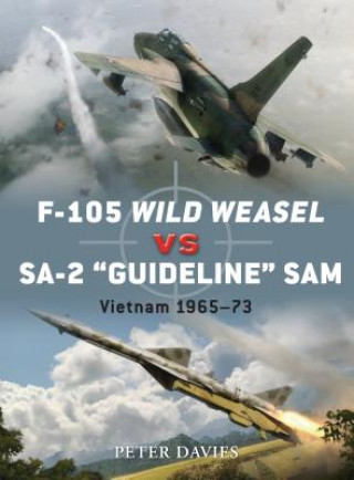 F-105 Wild Weasel vs SA-2 'Guideline' SAM