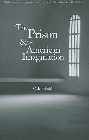 Prison and the American Imagination