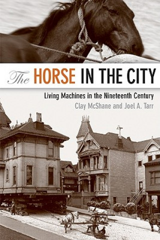 Horse in the City