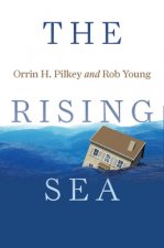 Rising Sea