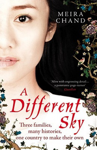 Different  Sky