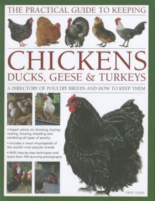 Practical Guide to Keeping Chickens, Ducks, Geese & Turkeys