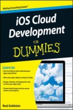 IOS Cloud Development For Dummies