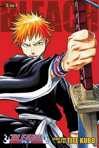 Bleach , Vol. 1