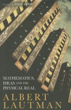 Mathematics, Ideas and the Physical Real