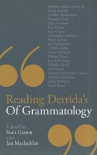 Reading Derrida's Of Grammatology