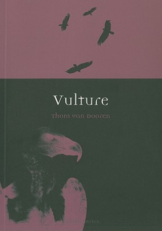 Vulture